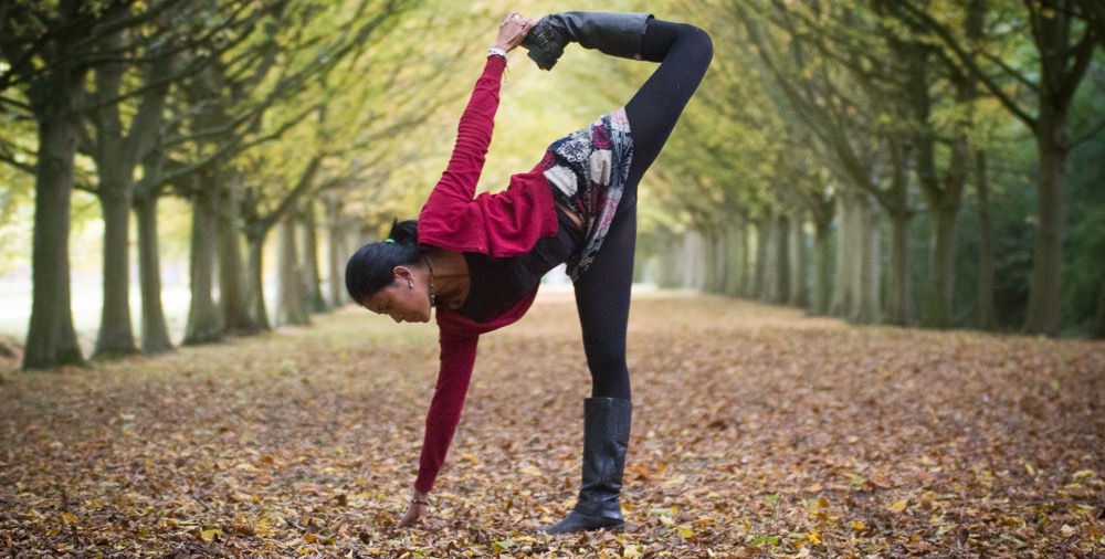 Anglesey Abbey October 2015